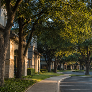 Professional office setting in the Forrestridge area of Denton, Texas